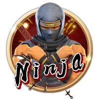 Ninja